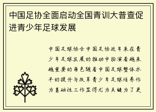 中国足协全面启动全国青训大普查促进青少年足球发展 中国足协全面启动全国青训大普查促进青少年足球发展